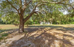 Branford, FL 32008