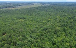 County Rd 34, Hurtsboro, AL 36860