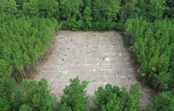 Highway 311 lot: 1, Cross, SC 29436