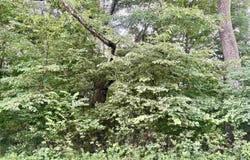 7525 Doe Valley Trail, Lafayette, IN 47905
