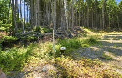 37 Corn Hill Road, Machiasport, ME 04655