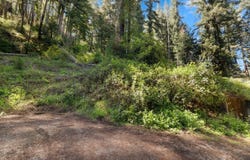 146 Starview PL, Boulder Creek, CA 95006