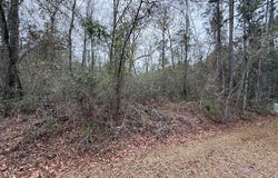 V/L 104 Satilla River Landing, Woodbine, GA 31569