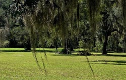 9515 NE State Rd 349, Old Town, FL 32680