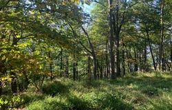 AUGHWICK, MC CONNELLSBURG, PA 17233