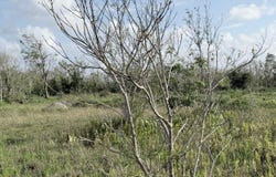 L5311-8 Route 3, Dededo, GU 96929
