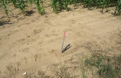 Farrand Road, Colon, MI 49040