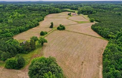 4209 and 4310 Hall Road, Rougemont, NC 27572