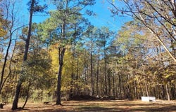 Covington, GA 30016