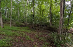 SE Circle Drive, Wise, VA 24293