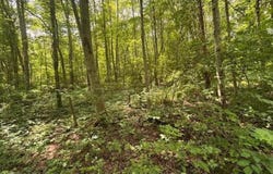 14500 Wolfe Road, Amesville, OH 45711