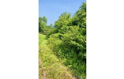 5 Morgan Circle Road, Nottoway, VA 23824