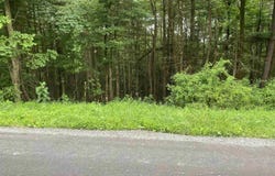 Limestone Road, Parsons, WV 26287