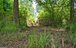 68 Askin Place, Culloden, GA 31016