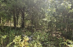 Sackett Road, Licking, MO 65542