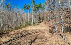 Wind River Trail, Cleveland, SC 29635