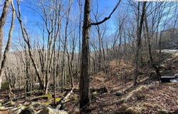 236 Lakeledge Road, Beech Mountain, NC 28604