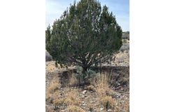 Smoki Trail lot: 507, Chino Valley, AZ 86323