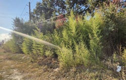 GREENWELL SPRINGS RD lot: W/2, Baton Rouge, LA 70814