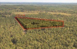 0Camp Oliver Rd, Adger, AL 35006