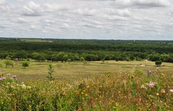1849 Two Bush Road, Perrin, TX 76486