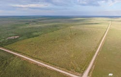 Whiting Road, Roy, NM 87743