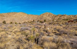 Palo Verde Road, Morongo Valley, CA 92256