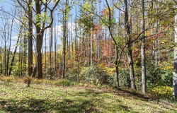 96 Thompson Road, Spruce Pine, NC 28777