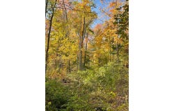L11 Gates Rd, Eagle Bridge, NY 12057