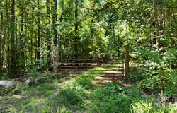 7608 Ander Vincent Road, Lancaster, SC 29720