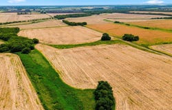 DCR 3210, Cooper, TX 75432