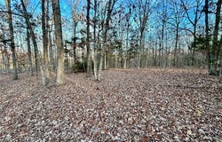 Tract 1 Highway CC, Salem, MO 65560