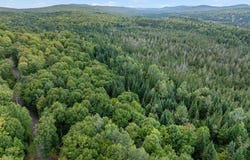 Wood Yard Crossing lot: 5, Pittsburg, NH 03592