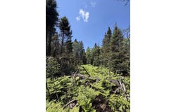 Red Road, Ishpeming, MI 49849
