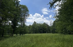 Bridle Way, Equinunk, PA 18417