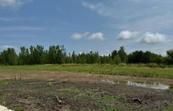 Dickens, Rush City, MN 55069