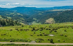 Brotnov Rd., Clearwater, ID 83552