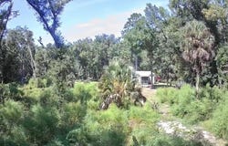 Caliente Drive lot: 7 And 8, Crawfordville, FL 32327
