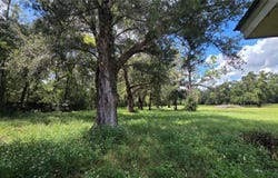 509 N COURT Street, BRONSON, FL 32621