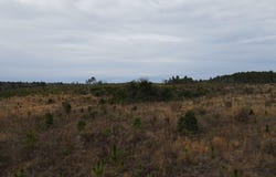 Tract 10 Park Road, Cassatt, SC 29032