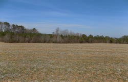 Sutton Road, Louisburg, NC 27549