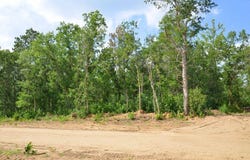 Firewood Trail, Park Rapids, MN 56470