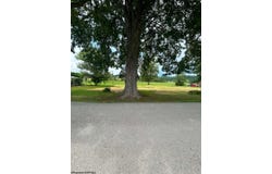 123 Freemans Road, French Creek, WV 26218