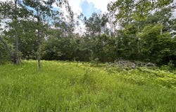 V/L 20AC Weaver Road, Comins, MI 48619