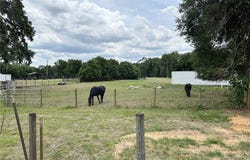 4450 E windmill Drive, Inverness, FL 34453