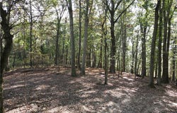 Harrold St (Parcel B), Jeannette, PA 15644