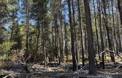 Cloudcap Drive, Chiloquin, OR 97624