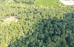 246TH ST, OBrien, FL 32071
