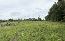 Willamette Rd, Bennettsville, SC 29512
