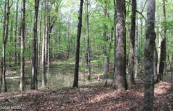 01 Ruffner Road, Barnesville, GA 30204